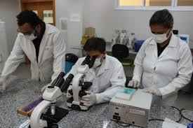 Image Title My Image